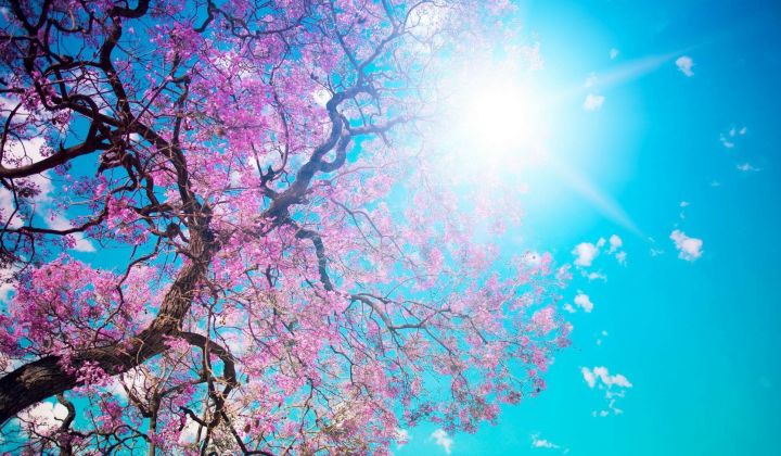 Консультация психолога онлайн